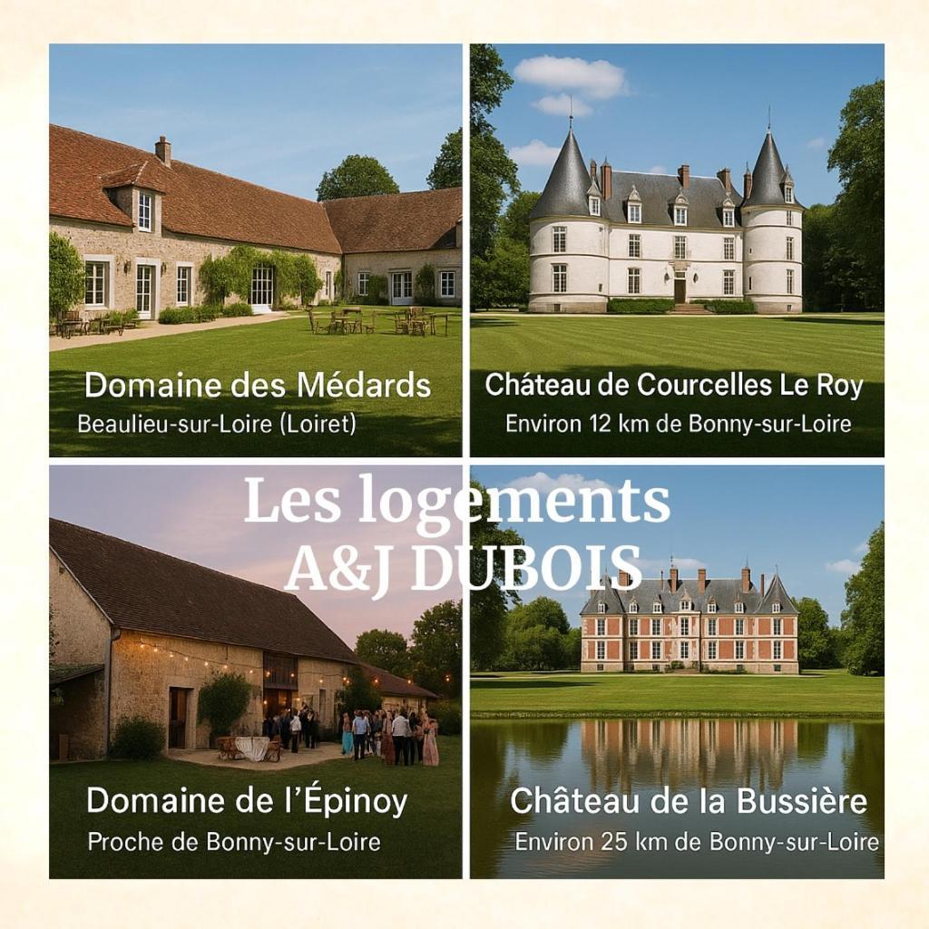 A&Jduplex - Bonny Sur Loire - Chateaux De Guedelon - Pont Canal Ngoại thất bức ảnh